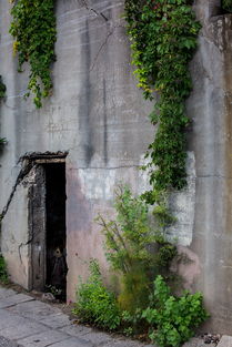 中国最老的学科，中国最古老的学院