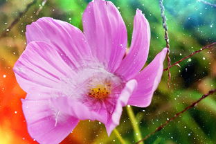 中国最开心最幸福的歌曲，让人觉得幸福的歌