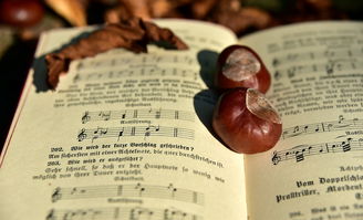 中国最正宗的书，中国最好的书