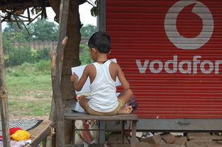 世界上最牛兄妹排名，世界上兄弟姐妹年龄最大相差多少岁