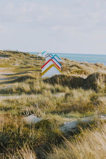 全世界种田人口排名前十,世界上种地最多的农民是谁种了多少亩地