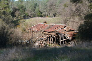 全世界种田人口排名前十,世界上种地最多的农民是谁种了多少亩地