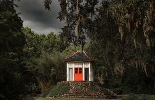 中国最漂亮土匪窝图片，中国最漂亮土匪窝