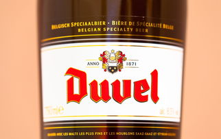 泉州啤酒十大排名，泉州啤酒品牌