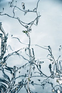 中国最优美的诗，中国最精美的20首诗集