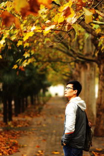 血色浪漫十大排名,血色浪漫排行