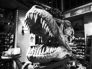 世界上最恐怖的恐龙百科全书，世界上最震撼恐龙图片