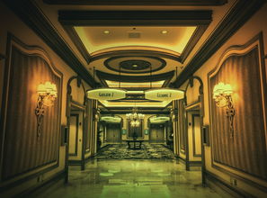 高安档次最好的餐厅,高安酒席十大排名酒店