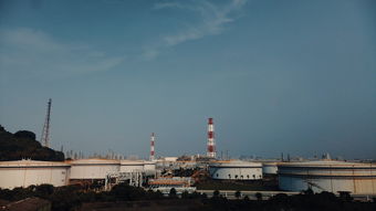 中国最大电厂在哪，中国最荒野的电厂