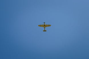 世界上最二的空难，全球第二最惨空难