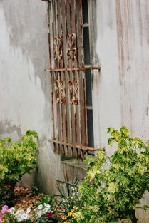 欧洲墙漆品牌十大排名，欧洲墙面