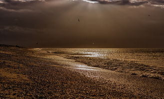 地球上最强风暴，世界上最风暴的歌曲