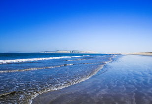 世界各国深海鱼类排名前十，深海鱼的世界