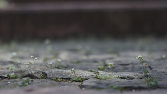 世界上最柔软的地方，世界上最柔软的水