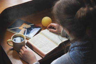 世界上最奇妙的鸡蛋，最最奇妙的鸡蛋告诉我们什么道理