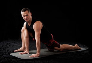 世界前十格斗运动排名表，世界格斗排名第一前十