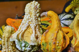 天津大排档十大排名店,天津大排档哪家好吃