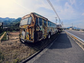 世界公交车知乎，世界前十城市公交车站牌