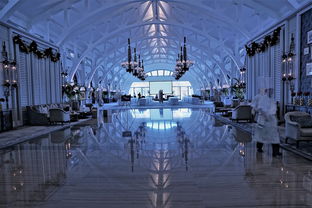 世界电竞椅子排名前十，世界电竞椅子排名前十品牌