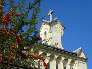 世界龙骨雕像排名前十，龙骨遗址