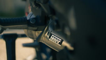 世界上最帅的冲枪图片，世界上最帅的冲枪图片大全