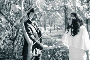 世界最年轻军长排名前十,世界最年轻军长排名前十名