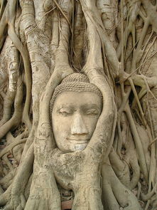 世界上最霸气的图纸,世界上最霸气的图纸是什么