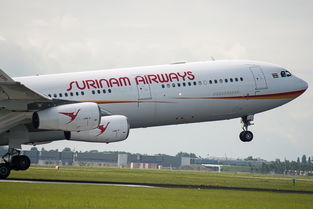 世界各国大客机排名前十,世界各国飞机客运量排名