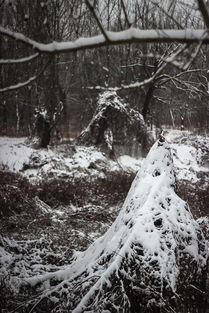 世界前十的恐怖歌曲,世界十大恐怖歌曲第一名