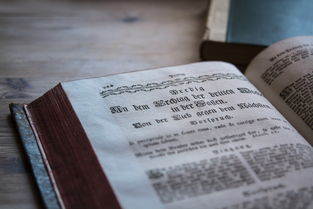 世界语言史pdf,世界语言史书籍排名前十